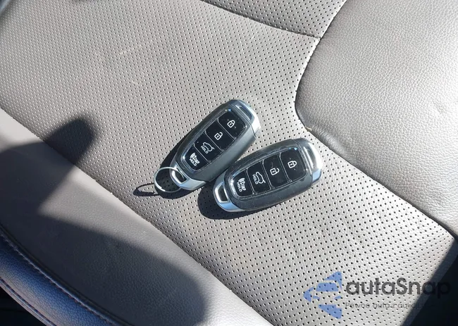 5NMS53AA7LH304577: 42189197