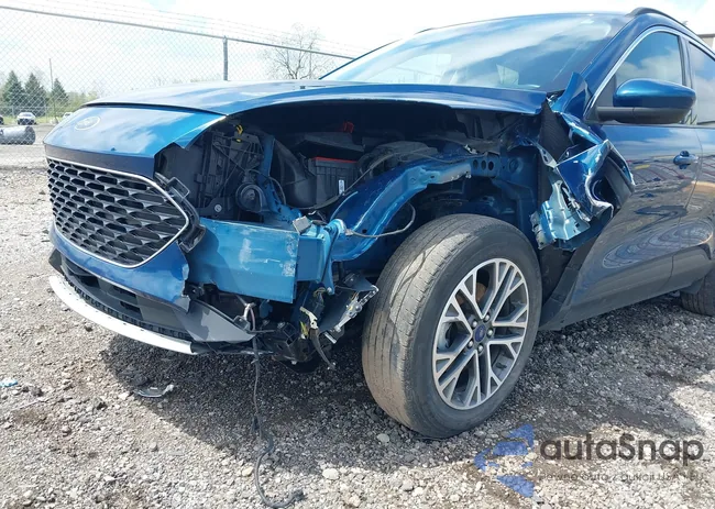 1FMCU9H65LUC10312: 42190231