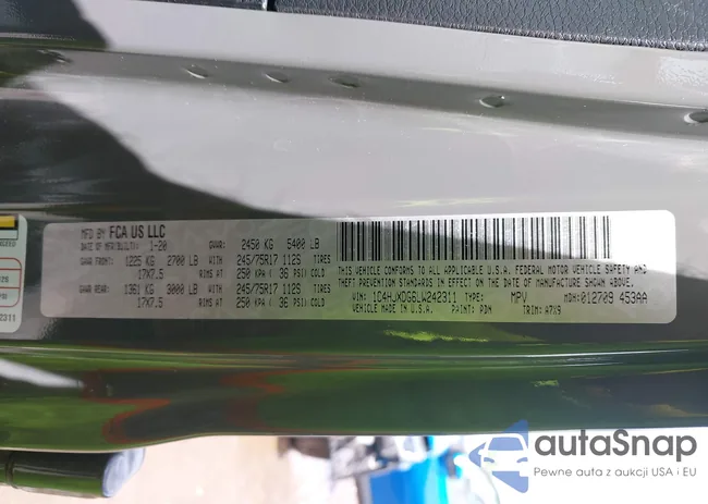 1C4HJXDG6LW242311: 42191731