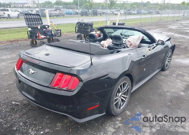 1FATP8UHXH5254892: 42191301