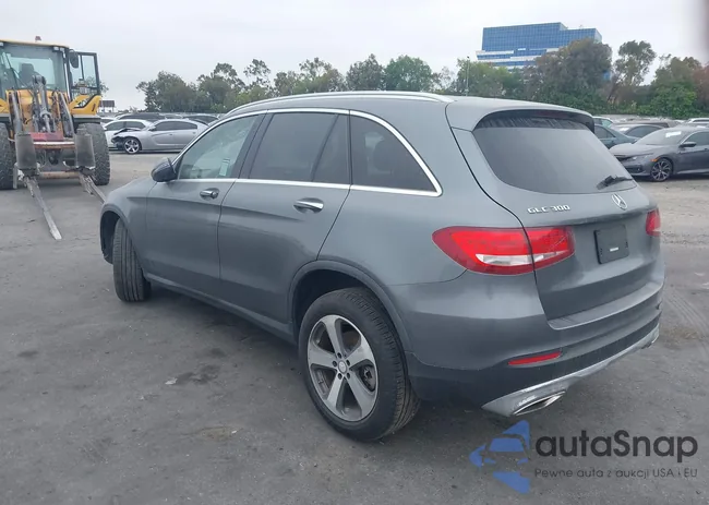 WDC0G4JB9HF172775: 42193500