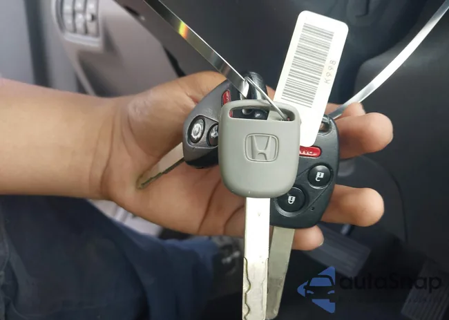 5FNYF28507B041043: 42194025