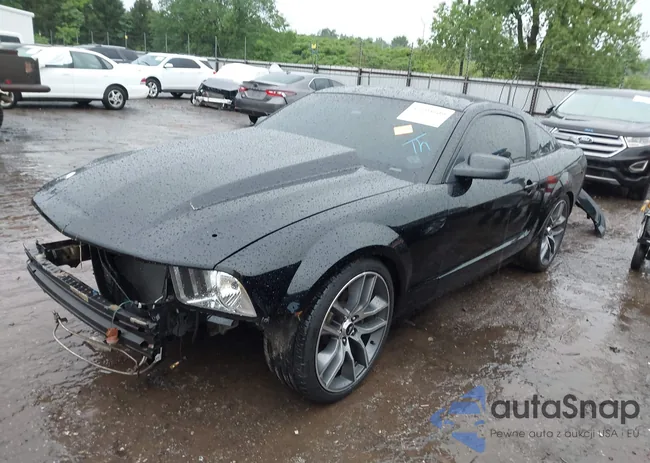 1ZVFT82H365134464: 42193109