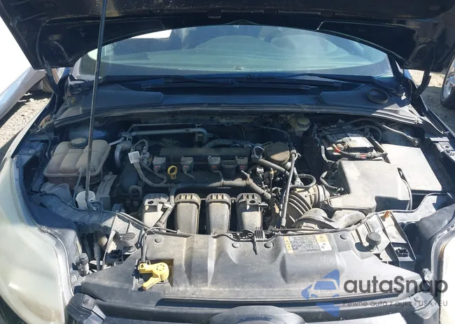 1FADP3K23EL313228: 42194582