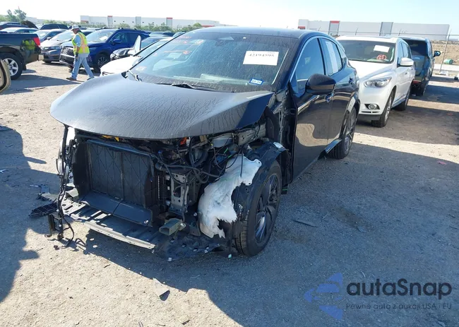 JN1BF0BA4PM408200: 42194595