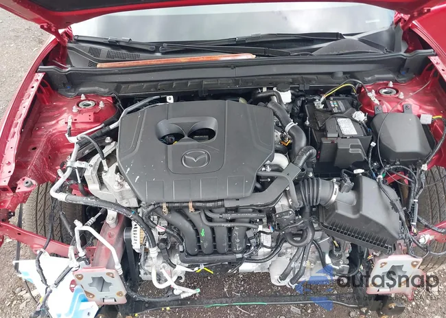 3MVDMBCM1RM704376: 42194116