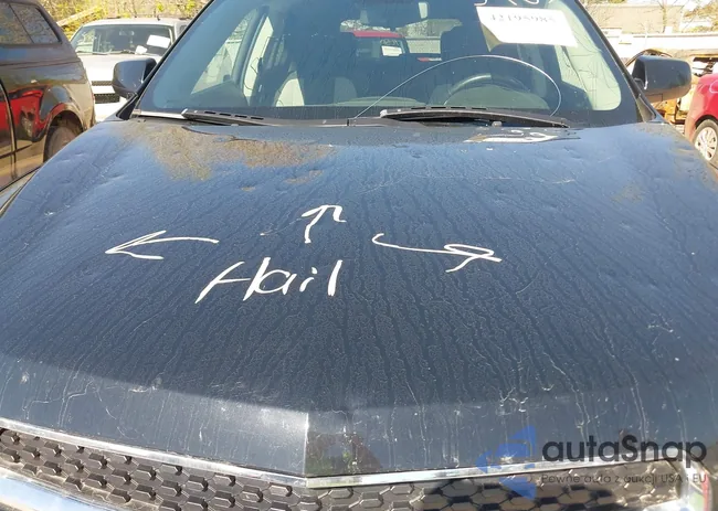 2GNFLEEK1D6177279: 42195985