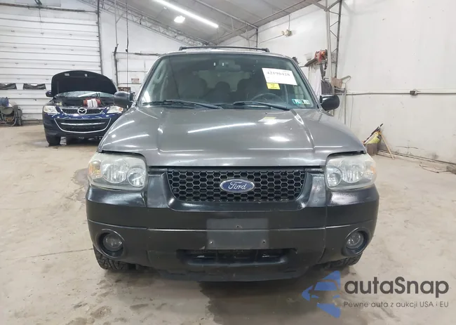 1FMYU93196KC43833: 42196428