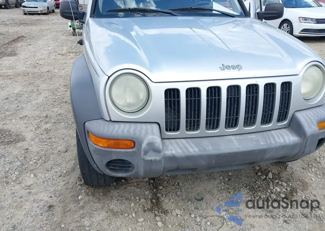 1J4GK48K54W295373: 42196433