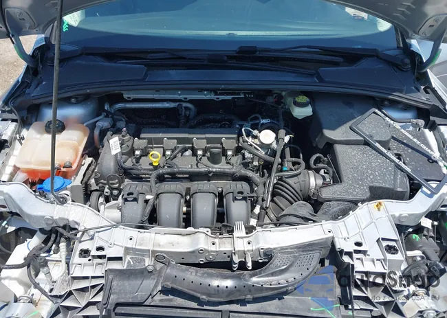 1FADP3F25HL304819: 42197817