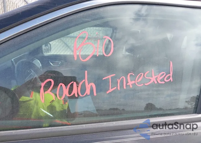 3C4NJDBBXNT209295: 42198832