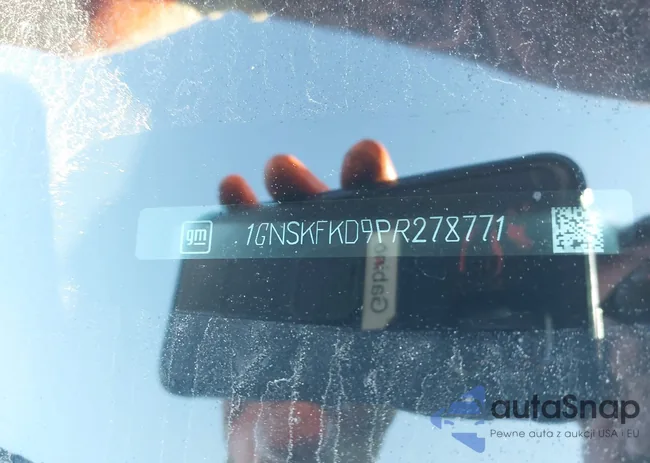 1GNSKFKD9PR278771: 42198380