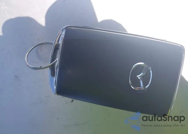 JM1BPBLM8R1654296: 42199474