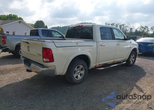 1D3HV13T49J526520: 42199548