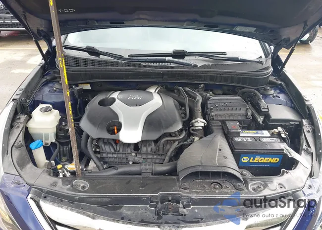 5NPEC4AB4BH297428: 42199608