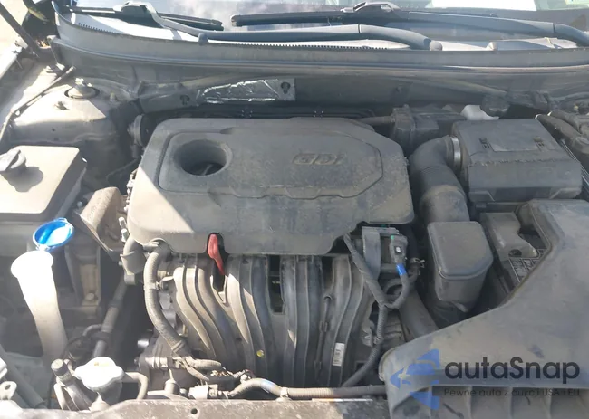 5NPE24AF8KH790521: 42199170