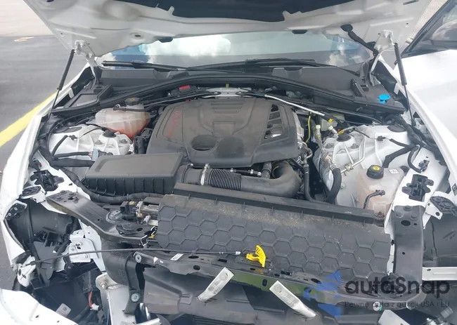 ZARFAMBN5P7669024: 42201435