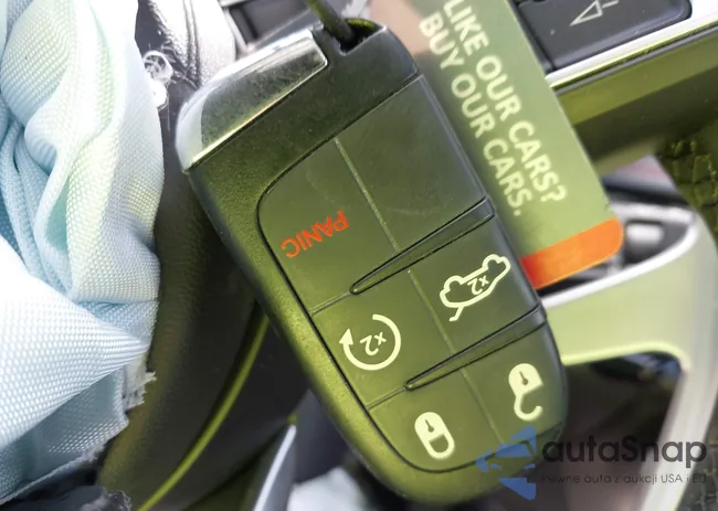 ZACPDFCWXR3A30157: 42201097