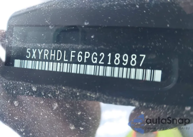 5XYRHDLF6PG218987: 42202644