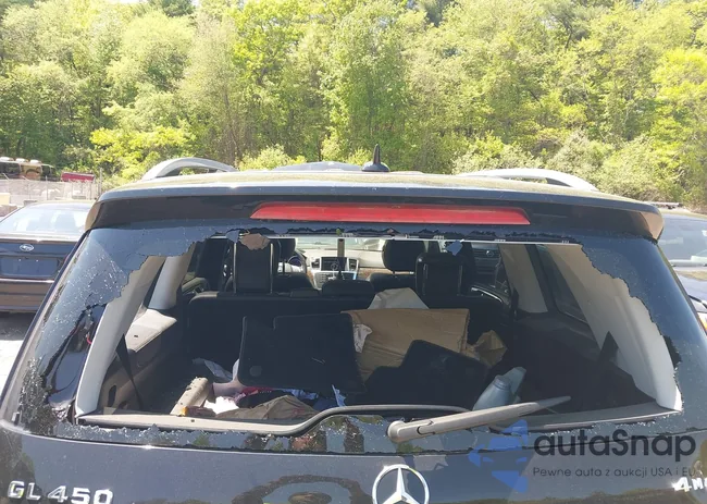 4JGDF7CE9DA220409: 42202851