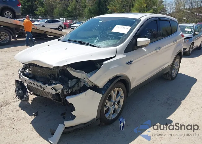 1FMCU9H96DUD88466: 42202030