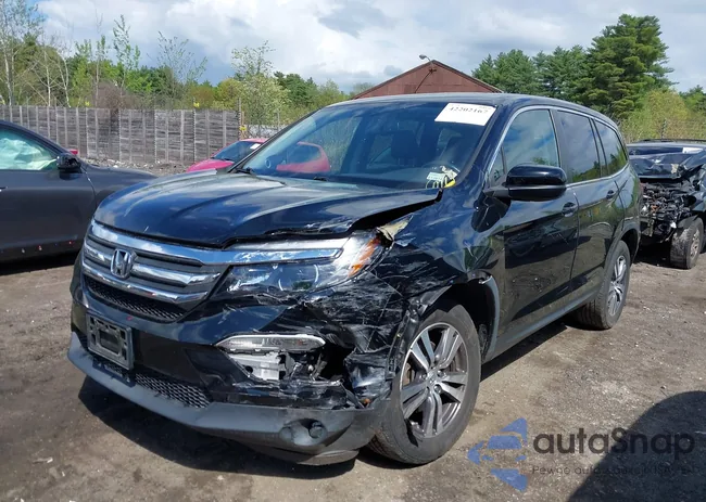 5FNYF6H50JB052106: 42202167