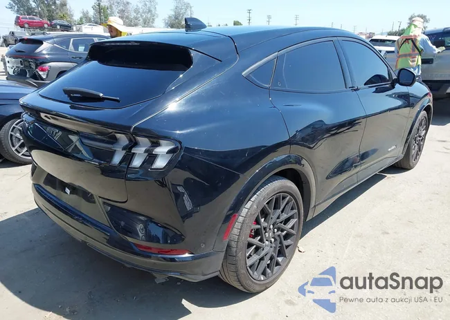 3FMTK4SX5PMA06095: 42203596