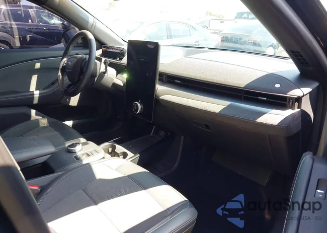 3FMTK4SX5PMA06095: 42203596