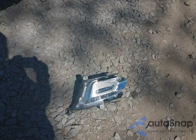 2GNFLFEK3G6153009: 42203668