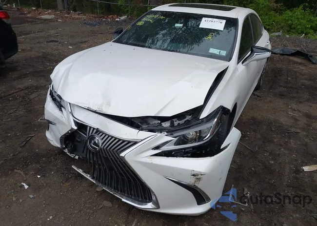 58ADZ1B11MU095688: 42203770