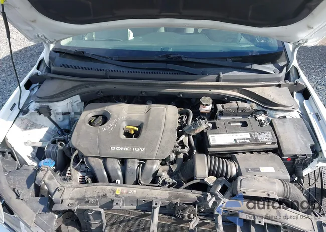 5NPD84LF1JH325441: 42203977