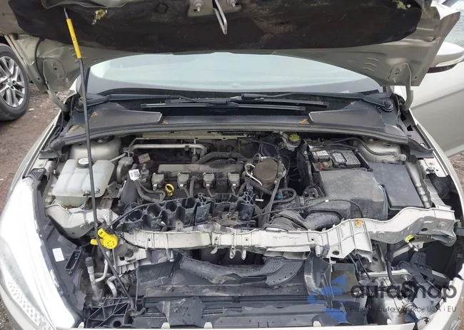 1FADP3F29FL218068: 42203220