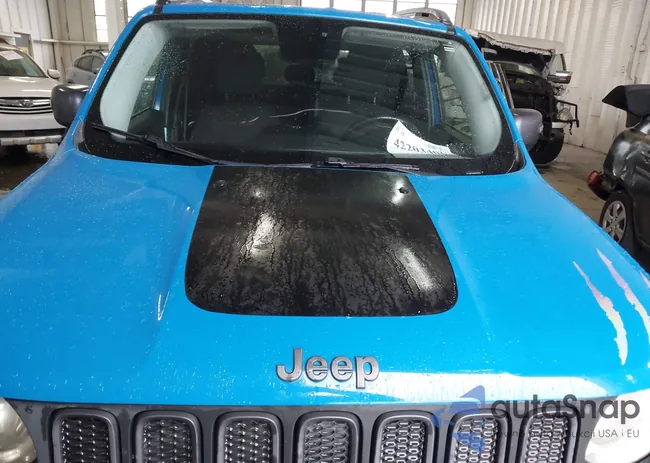 ZACCJBCT0FPB59264: 42203406