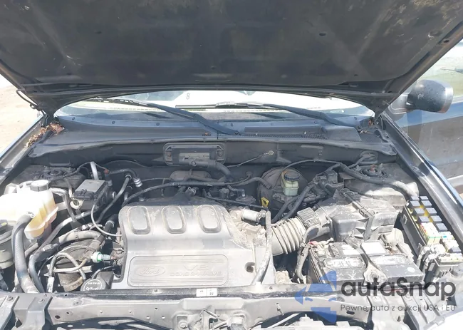 1FMYU03163KA99987: 42204533