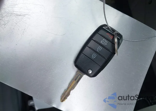 KNAFK4A69G5502921: 42204847