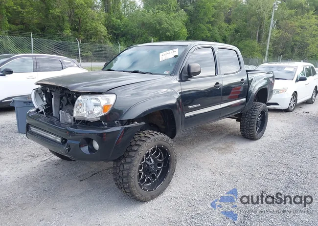 5TEJU62NX7Z338052: 42204246