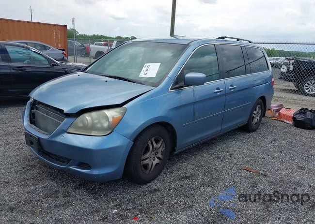 5FNRL38467B087065: 42204370