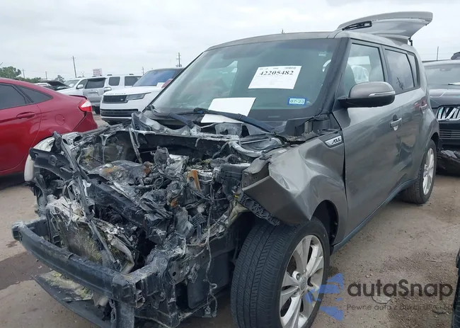 KNDJP3A57E7069696: 42205482