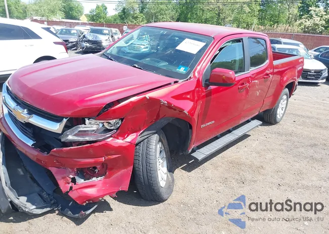 1GCGTCE3XG1150552: 42205686