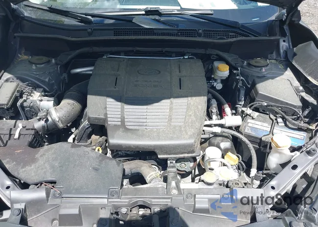 JF2SKAUC0MH474911: 42205853