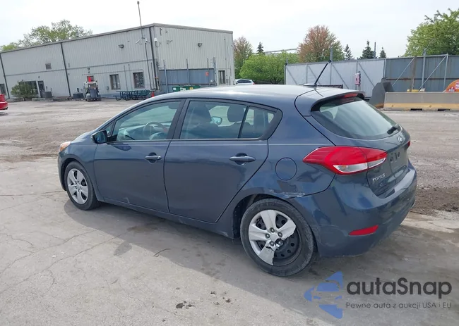 KNAFK5A87G5659502: 42205859