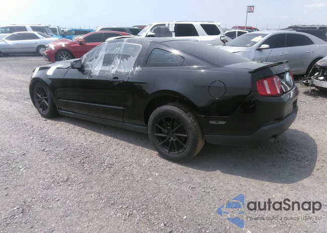 1ZVBP8AM9C5222027: 42205904