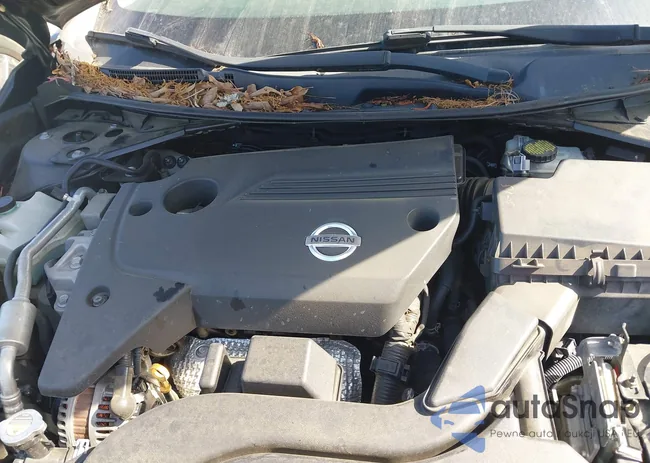 1N4AL3APXDC184348: 42205147