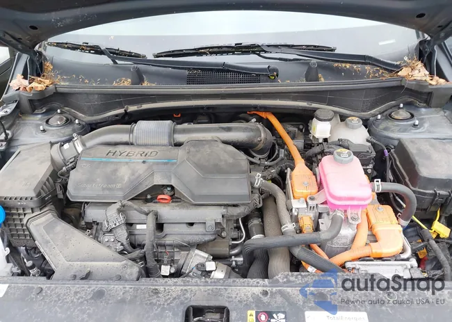 KNDPUCAG1P7056739: 42206568