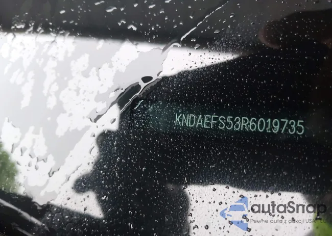 KNDAEFS53R6019735: 42207810