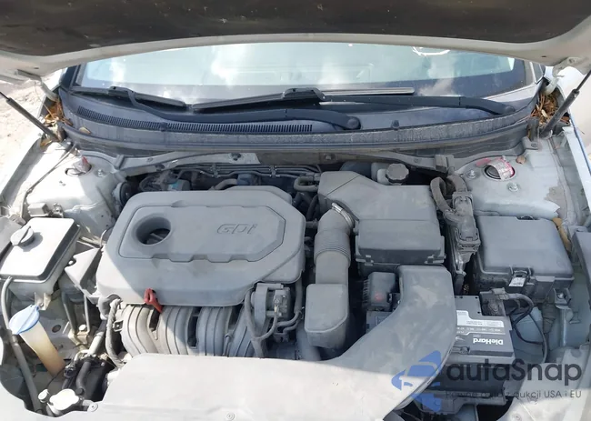 5NPE24AF6FH059138: 42207842