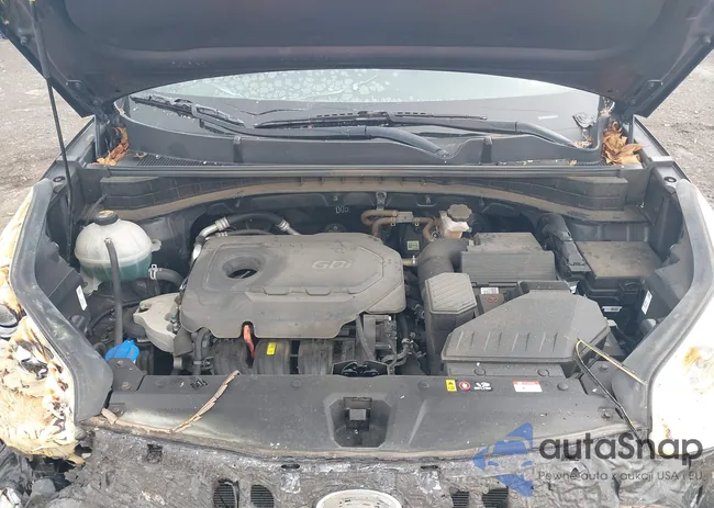 KNDP6CACXM7848732: 42208627