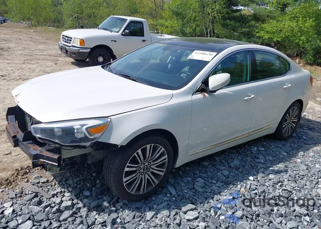 KNALN4D75F5181277: 42208630