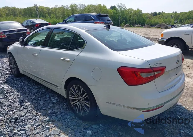 KNALN4D75F5181277: 42208630