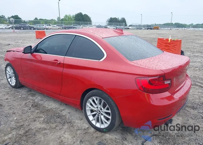 WBA1F9C54GV742703: 42209964